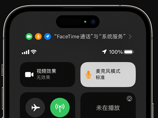 淳安苹果授权维修网点分享iPhone在通话时让你的声音更清晰 