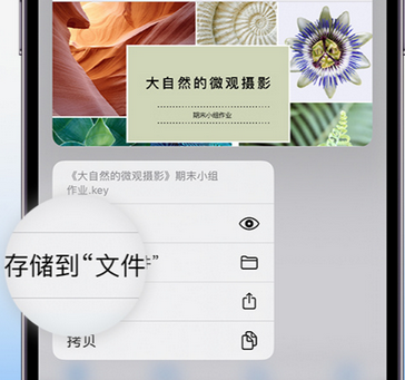 淳安apple维修中心分享iPhone文件应用中存储和找到下载文件