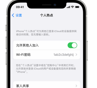 淳安apple服务站点分享iPhone上个人热点丢失了怎么办