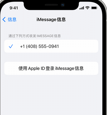 淳安apple维修iPhone上无法正常发送iMessage信息