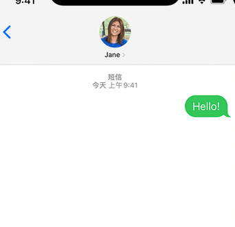 淳安apple维修iPhone上无法正常发送iMessage信息