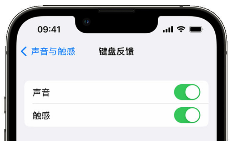 淳安苹果手机维修分享iPhone 14触感键盘使用方法 