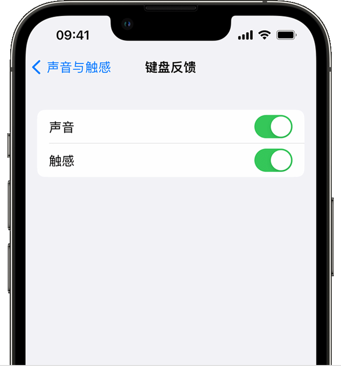 淳安苹果14维修店分享如何在 iPhone 14 机型中使用触感键盘 