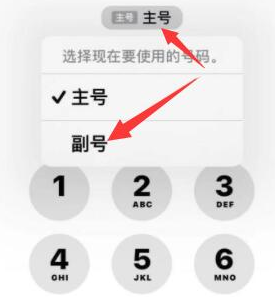 淳安苹果14维修店分享iPhone 14 Pro Max使用副卡打电话的方法 