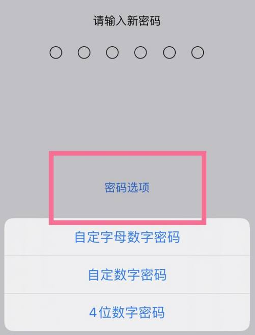 淳安苹果14维修分享iPhone 14plus设置密码的方法 