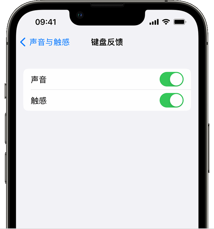 淳安苹果14维修分享iPhone 14 系列机型如何开启键盘声音或触感反馈 