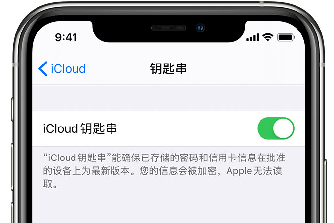 淳安苹果手机维修分享在 iPhone 上开启 iCloud 钥匙串之后会储存哪些信息 