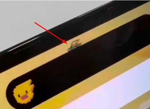 淳安苹果14维修分享iPhone 14 Pro Max灵动岛怎么养宠物 