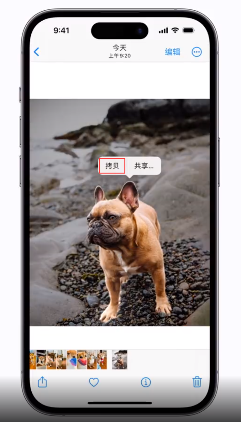 淳安苹果手机维修分享 iOS 16 自带一键抠图功能 
