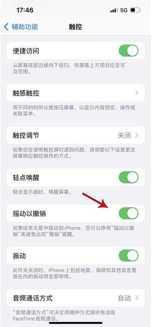 淳安苹果手机维修分享iPhone手机如何设置摇一摇删除文字 