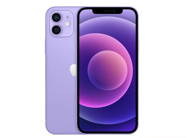 淳安苹果手机维修分享现阶段要不要入手紫色版iPhone12 