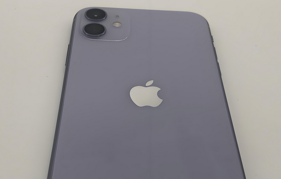 淳安苹果11系统维修分享iPhone11手机系统崩溃无法开机如何解决 